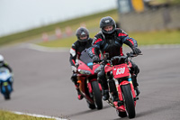 PJ-Motorsport-2019;anglesey-no-limits-trackday;anglesey-photographs;anglesey-trackday-photographs;enduro-digital-images;event-digital-images;eventdigitalimages;no-limits-trackdays;peter-wileman-photography;racing-digital-images;trac-mon;trackday-digital-images;trackday-photos;ty-croes
